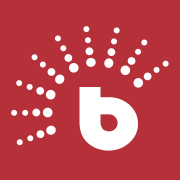 BrighterMonday logo